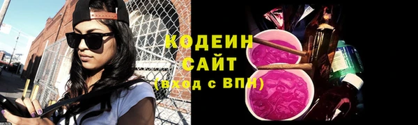 метадон Гусев