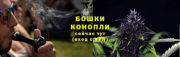 2c-b Гусиноозёрск