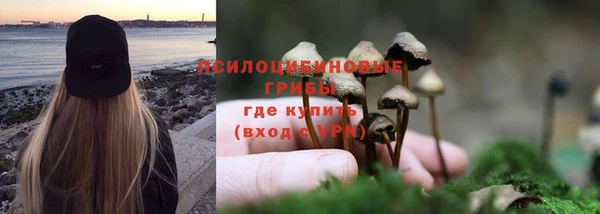 метадон Гусев