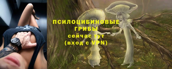 2c-b Гусиноозёрск