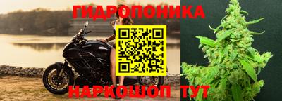 сатива Краснокаменск