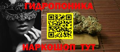 сатива Краснокаменск