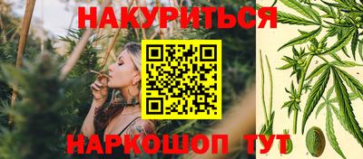 дмт Краснодар