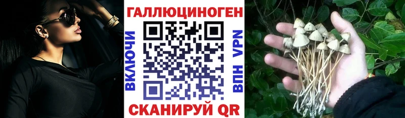 Псилоцибиновые грибы ЛСД  hydra ССЫЛКА  Сальск 