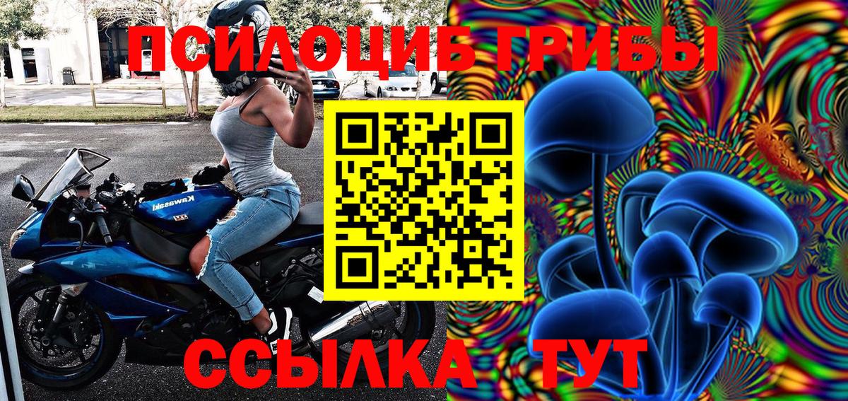 Сальск  Псилоцибиновые грибы прущие грибы  Вход с VPN 