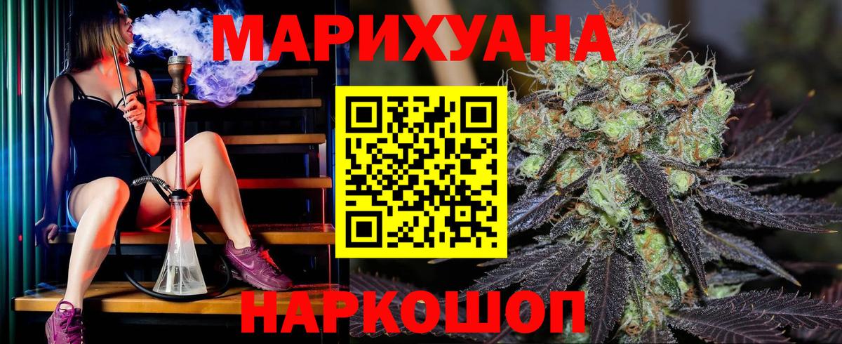 Конопля гибрид Сальск