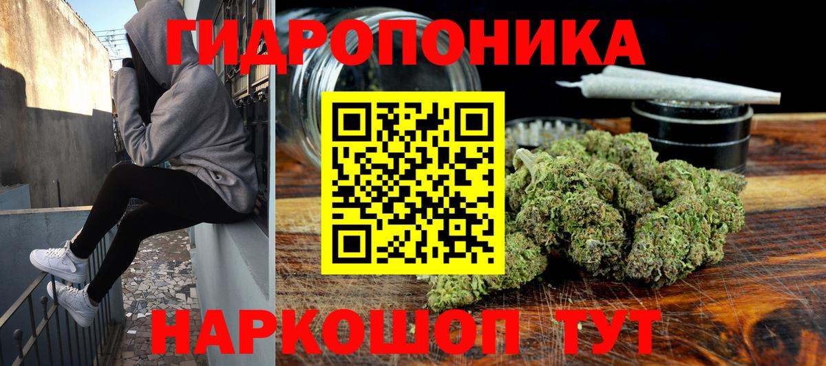 Канабис SATIVA & INDICA  Вход с VPN  МАРИХУАНА план  Каннабис AK-47  Сальск 